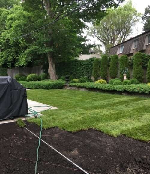 repair backyard
