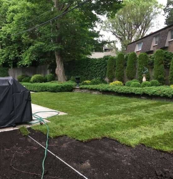 repair backyard