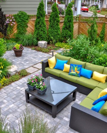 Backyard, nature,